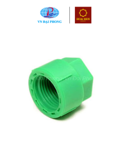 Bít ren trong PPR Hoa Sen