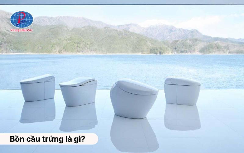 Bồn cầu trứng là gì?