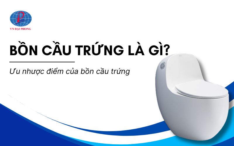 Bồn cầu trứng là gì