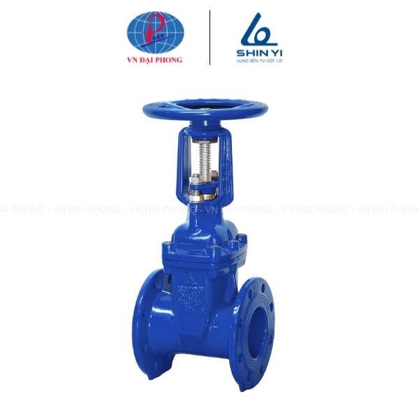 Van cổng TY nổi DN50 Shinyi