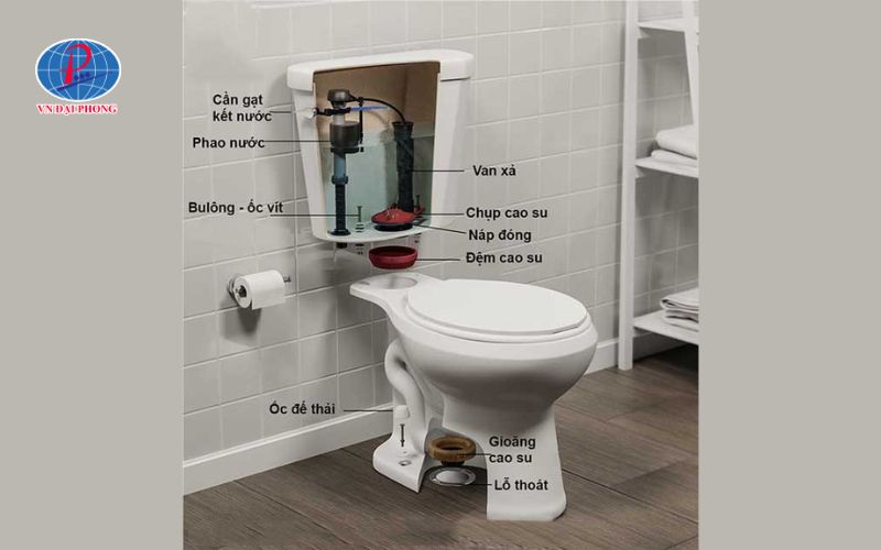 Cấu tạo bồn cầu liền khối