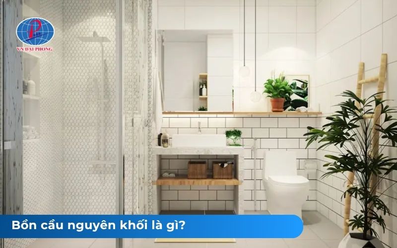 Bồn Cầu Nguyên Khối Là Gì? Cấu Tạo, Phân Loại 6 Bồn cầu nguyên khối là gì?