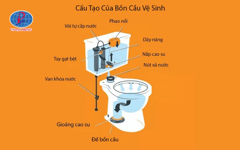 Cấu tạo chi tiết của bồn cầu 2 khối