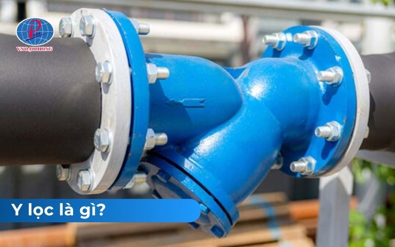 Y lọc là gì?